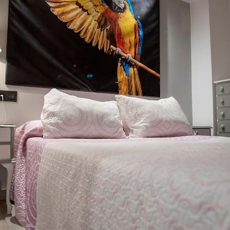 Apartamento Ventanal Ateca Esterno foto
